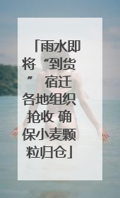 雨水即将“到货” 宿迁各地组织抢收 确保小麦颗粒归仓